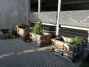 Fünf Hochbeete aus Paletten hinter dem Parkhaus in Tennenlohe neben dem Department für Geographie. Die Hochbeete sind von Beton und Stahlwänden eingerahmt und bilden eine kleine grüne Oase in Tennenlohe.