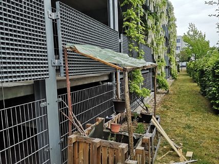 Zum Artikel "Urban Gardening an der FAU"