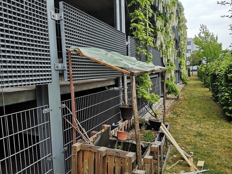 Urban Gardening an der FAU