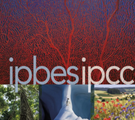 Im oberen Teil des Bildes verlaufen sehr stark verzewigte rote Flüsse auf blauem Hintergrund. Die Darstellung erinnert an eine Aufnahme einer Lunge. Darunter befidnen sich drei kleine Abbildungen. Die line Abbildung zeigt einen Baum, der von unten nach oben betrachtet wird und mit Lianen behangen ist. Man sieht auch das Blätterdach des Waldes um diesen Baum und vereinzelt den blauen Himmel dahinter. Im mittleren Bild steht ein Pinguin auf Eis. Das Eis ist wie ein Grad eines Gebirges geformt und links und rechts vom Pinguin geht es fast senkrecht runter. Das dritte Bild ganz rechts unten zeigt eine blühende Wiese mit Mohnblumen und Gräsern und im Hintergrund verschiedene Felder und Waldflächen.