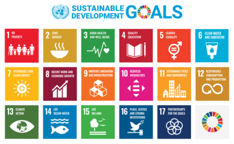 Overview of all 17 Sustainable Development Goals of the United Nations
