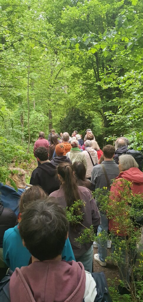 Auf dem Foto ist eine Menschengruppe im Grünen zu sehen, die gerade an der Führung des Biodiversitätsspaziergangs teilnimmt.