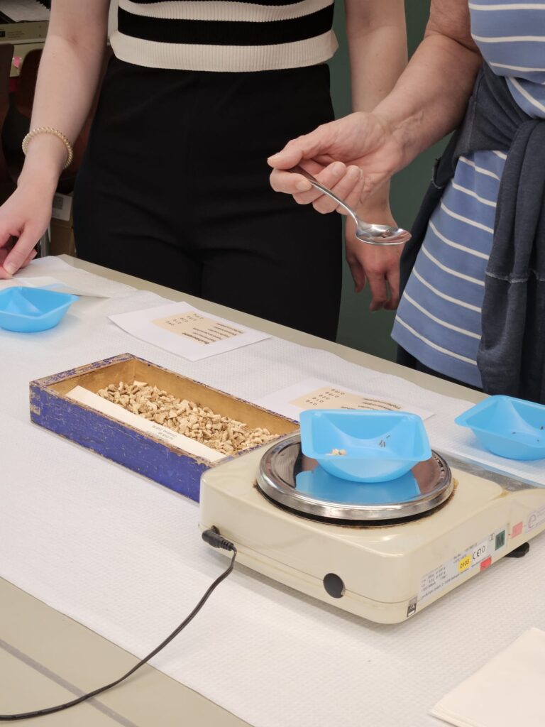 Auf dem Bild sind die Hände von zwei Personen zu sehen, die gerade die Zutaten für den Workshop abwiegen.