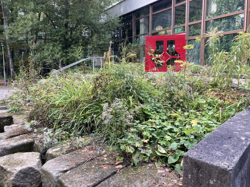 Im Vordergrund sieht man ein grün wucherndes Staudenbeet umrandet von Steinen und im Hintergrund eine rote Doppeleingangstür.