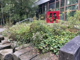 Im Vordergrund sieht man ein grün wucherndes Staudenbeet umrandet von Steinen und im Hintergrund eine rote Doppeleingangstür.