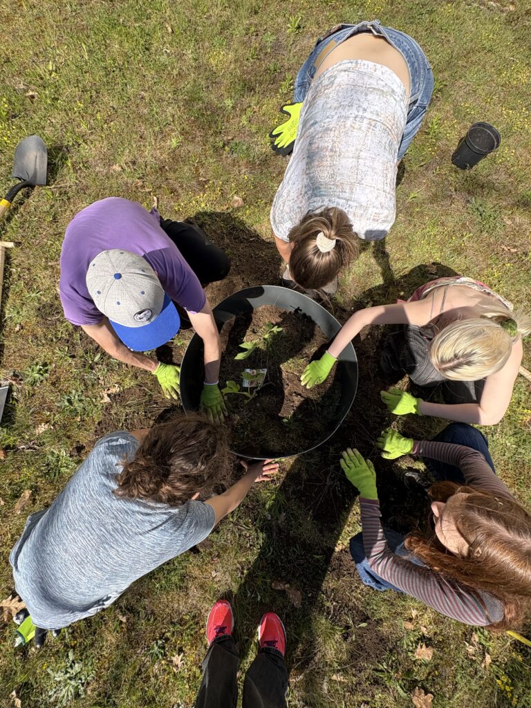 Rückblick Klimabäume Pflanzaktion